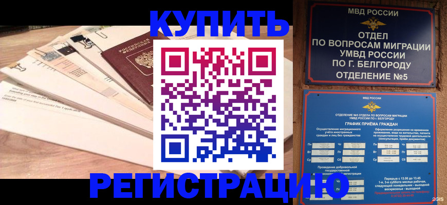 временная регистрация в Могочи